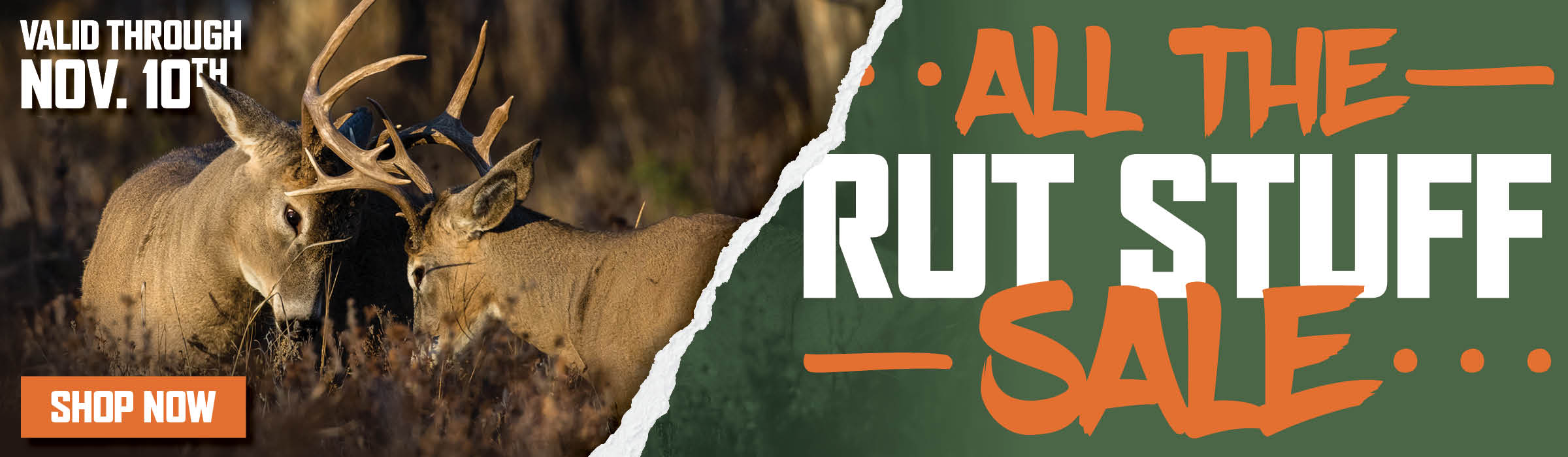 9th Annual Big Buck Contest